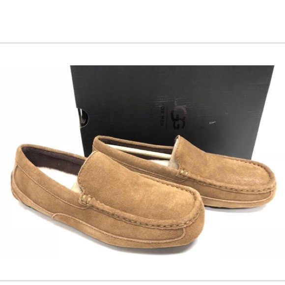 UGG Other - Nib Ugg Alder men’s driving shoes chestnut